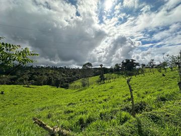 Haceinda de 80 Ha a 1 Hora y Media de Quito en Venta