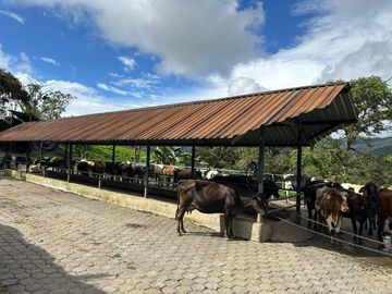 Haceinda de 80 Ha a 1 Hora y Media de Quito en Venta