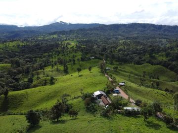 Haceinda de 80 Ha a 1 Hora y Media de Quito en Venta
