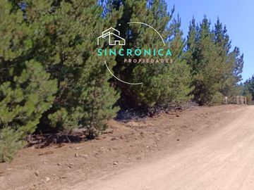 SE VENDE HERMOSO TERRENO EN LOMA VERDE.¡¡OPORTUNIDAD ÚNICA!!