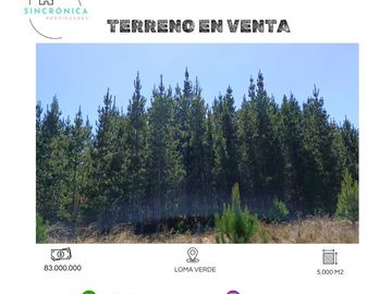 SE VENDE HERMOSO TERRENO EN LOMA VERDE.¡¡OPORTUNIDAD ÚNICA!!