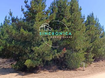 SE VENDE HERMOSO TERRENO EN LOMA VERDE.¡¡OPORTUNIDAD ÚNICA!!