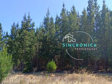 SE VENDE HERMOSO TERRENO EN LOMA VERDE.¡¡OPORTUNIDAD ÚNICA!!