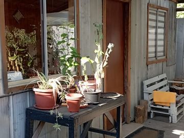 Propiedad central con 3 casas en sitio de 625mts2 Villarrica