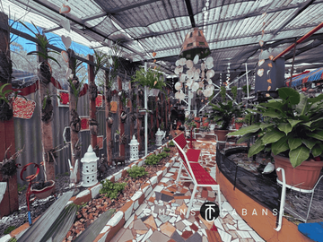 Rare Pre American Colonial Estate in Baguio – A Dream Home or High-Yield Investment