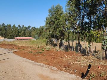 Sitio en Tomé urbano con Rol propio