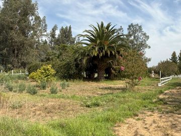 Soñada Parcela de 20.000 m2 con Casa Regularizada y Diversos Árboles Frutales