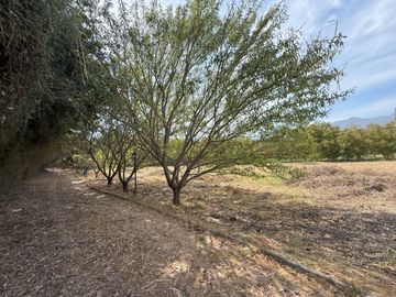 Soñada Parcela de 20.000 m2 con Casa Regularizada y Diversos Árboles Frutales
