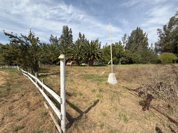 Soñada Parcela de 20.000 m2 con Casa Regularizada y Diversos Árboles Frutales