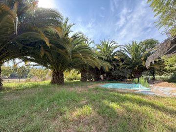 Soñada Parcela de 20.000 m2 con Casa Regularizada y Diversos Árboles Frutales