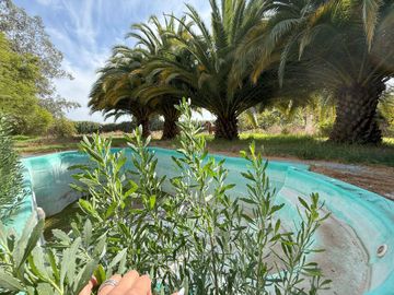 Soñada Parcela de 20.000 m2 con Casa Regularizada y Diversos Árboles Frutales