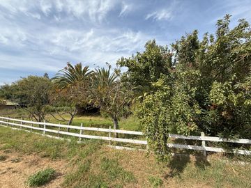 Soñada Parcela de 20.000 m2 con Casa Regularizada y Diversos Árboles Frutales