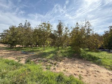 Soñada Parcela de 20.000 m2 con Casa Regularizada y Diversos Árboles Frutales