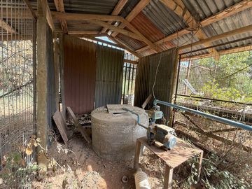 Soñada Parcela de 20.000 m2 con Casa Regularizada y Diversos Árboles Frutales