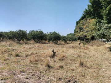 RANCHO EN VENTA!! TENAXTEPEC ATLIXCO