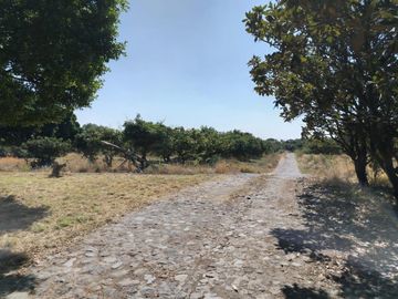 RANCHO EN VENTA!! TENAXTEPEC ATLIXCO