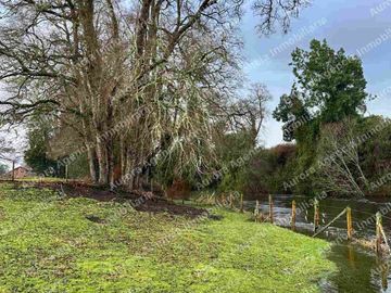 Vendo parcela  Tacamó, a 9 kms de Osorno con acceso a Río Damas