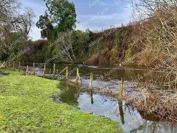 Vendo parcela  Tacamó, a 9 kms de Osorno con acceso a Río Damas