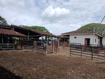 FINCA GANADERA BUGALAGRANDE, ANDALUCIA
