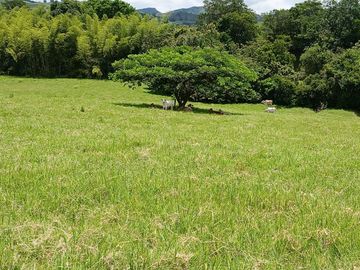 FINCA GANADERA BUGALAGRANDE, ANDALUCIA