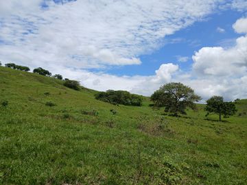 FINCA GANADERA BUGALAGRANDE, ANDALUCIA