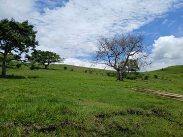 FINCA GANADERA BUGALAGRANDE, ANDALUCIA