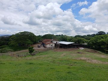 FINCA GANADERA BUGALAGRANDE, ANDALUCIA