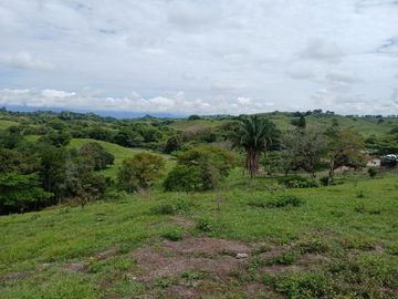 FINCA GANADERA BUGALAGRANDE, ANDALUCIA