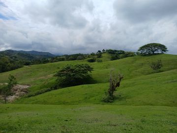 FINCA GANADERA BUGALAGRANDE, ANDALUCIA