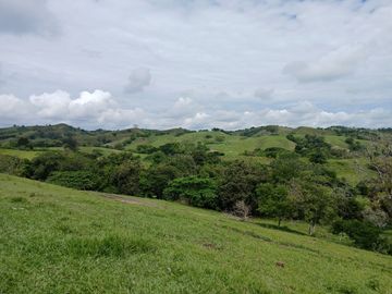 FINCA GANADERA BUGALAGRANDE, ANDALUCIA