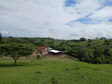 FINCA GANADERA BUGALAGRANDE, ANDALUCIA