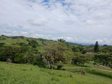 FINCA GANADERA BUGALAGRANDE, ANDALUCIA