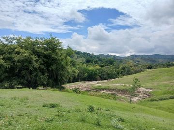 FINCA GANADERA BUGALAGRANDE, ANDALUCIA