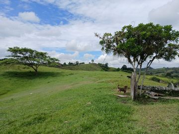 FINCA GANADERA BUGALAGRANDE, ANDALUCIA