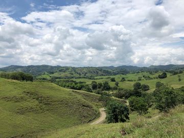 FINCA GANADERA BUGALAGRANDE, ANDALUCIA