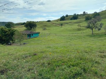 FINCA GANADERA BUGALAGRANDE, ANDALUCIA
