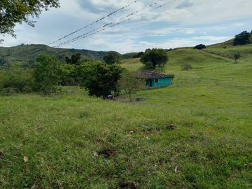 FINCA GANADERA BUGALAGRANDE, ANDALUCIA