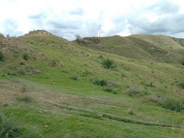 FINCA GANADERA BUGALAGRANDE, ANDALUCIA