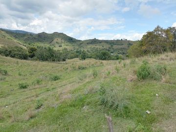 FINCA GANADERA BUGALAGRANDE, ANDALUCIA
