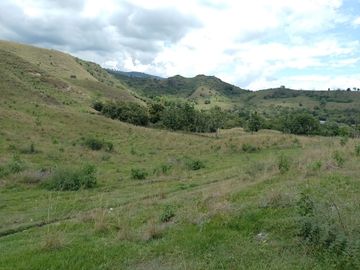 FINCA GANADERA BUGALAGRANDE, ANDALUCIA