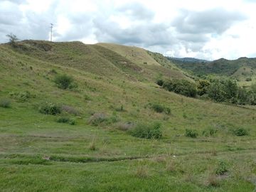 FINCA GANADERA BUGALAGRANDE, ANDALUCIA