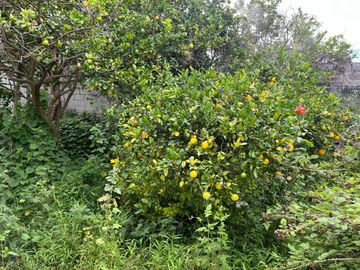 Venta Casa en Atuntaqui