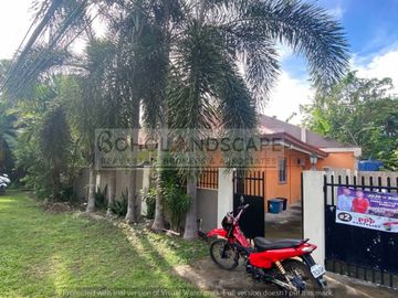Income Generating House & Lot/Serviced Apartment for Sale located in Looc, Panglao Island, Bohol
