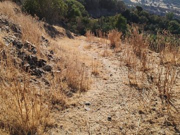 Venta Parcela sector el Parrón Comuna de Rauco