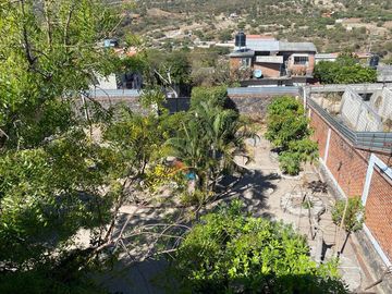 Arboles Frutales y Plantas Casa de Campo