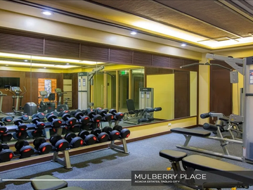 Mulberry Place Phase 2 - PAISLEY 2BR w/ PS - Midrise Facing Amenities in Acacia Estates Taguig City