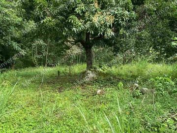VENTA DE FINCA SAN ANTONIO DEL TEQUENDAMA