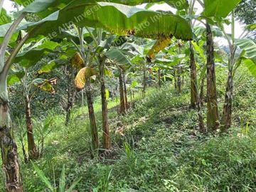 VENTA DE FINCA SAN ANTONIO DEL TEQUENDAMA