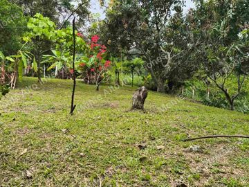 VENTA DE FINCA SAN ANTONIO DEL TEQUENDAMA