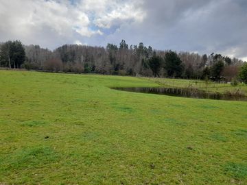 Hermosa parcela en Villarrica, Sector Ñancul